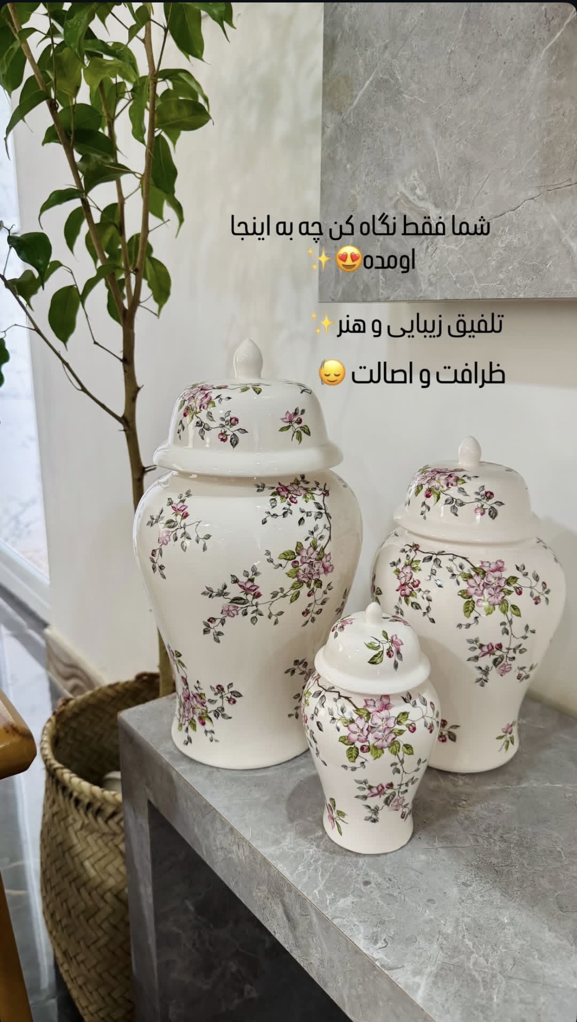 جینجرجار شکوفه صورتی۶تکه